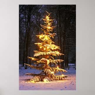 Pôster Merry Christmas