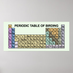 Pôster Mesa periódica de Birding
