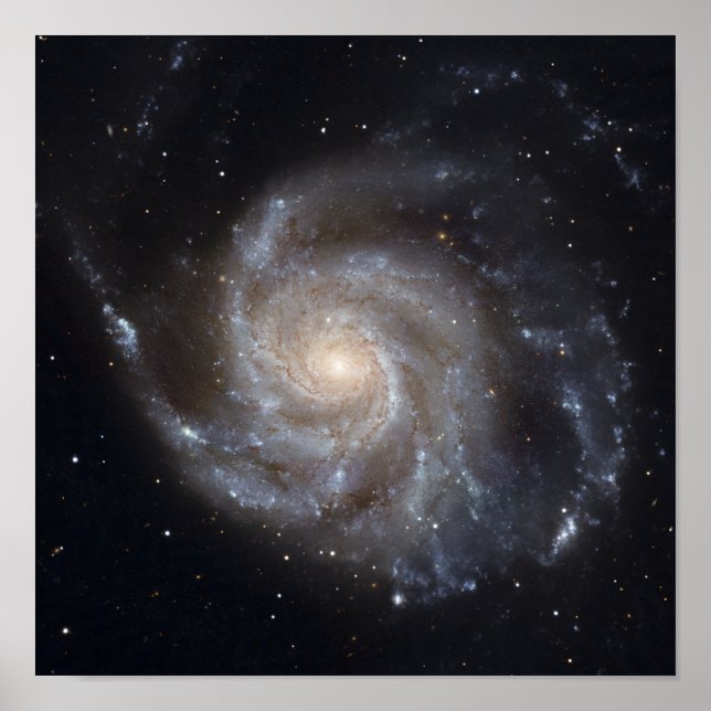 Pôster Messier 101, a Galáxia PinWheel (Frente)