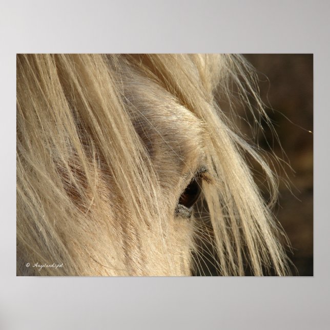 Poster Messy Mane (Frente)