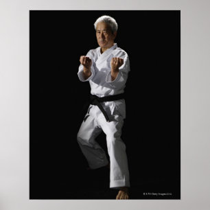 Poster Mestre de Karate, retrato, tiro de estúdio 2