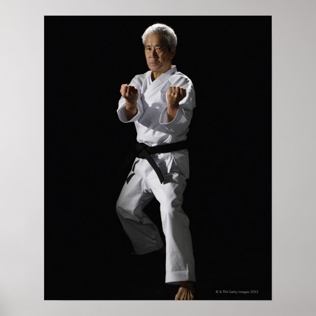 Poster Mestre de Karate, retrato, tiro de estúdio 2 (Frente)