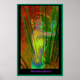 Poster Metamorfose