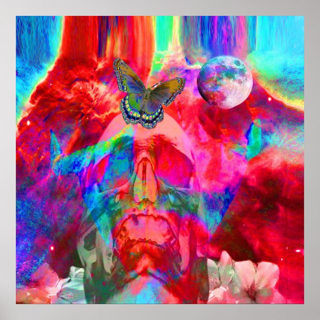 Pôster Metamorfose de vida (Frente)