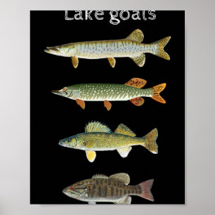 Poster Metas do Lago Pesca Musky Pike Walleye Boca Pequen