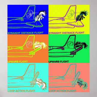 Poster Método De Voo