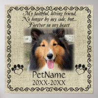 Meu Amigo Fiel Simpatia de Pet Personalizada Burla