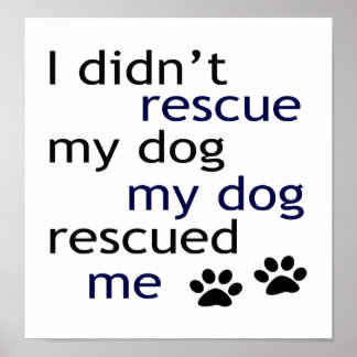 Pôster Meu Cachorro Me Resgatou Deco De Arte