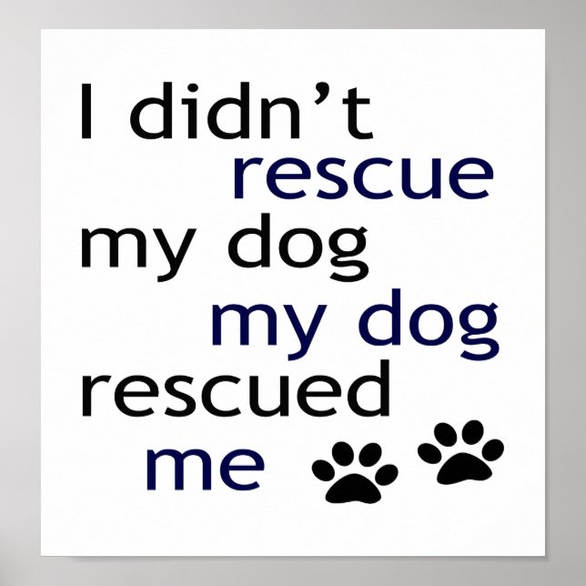 Pôster Meu Cachorro Me Resgatou Deco De Arte (Frente)