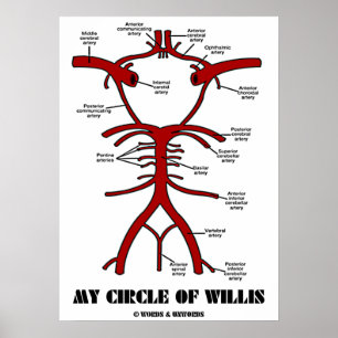 Poster Meu Círculo De Willis (Artérias Anatômicas)