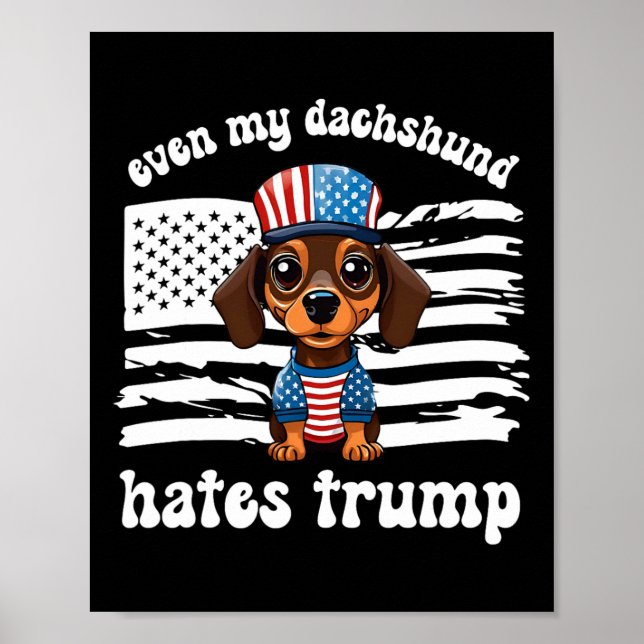 Poster Meu Dachshund Odeia Trump Dogs Kamala Harris Vote (Frente)