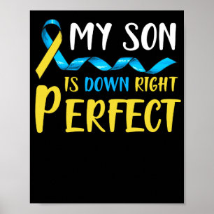 Poster Meu filho está com a síndrome perfeita para baix
