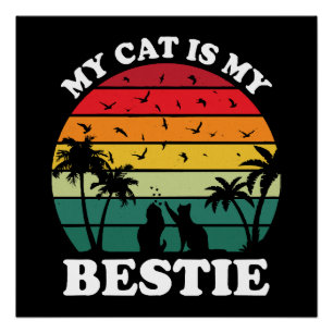 Pôster Meu Gato É Meu Melhor Amigo