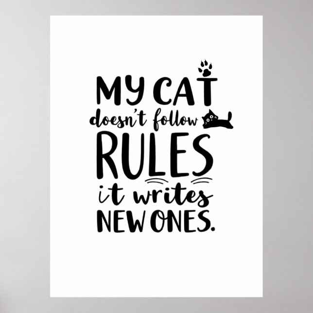 Poster Meu gato não segue regras (Frente)