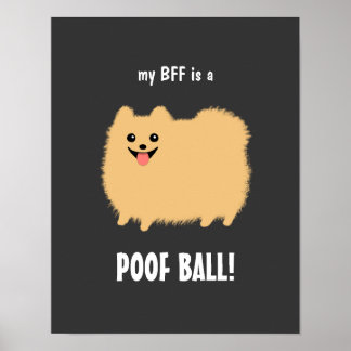 Poster Meu melhor amigo é um Pomerânia POOF BALL - Person
