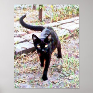 Poster Meu Nome É Kitty