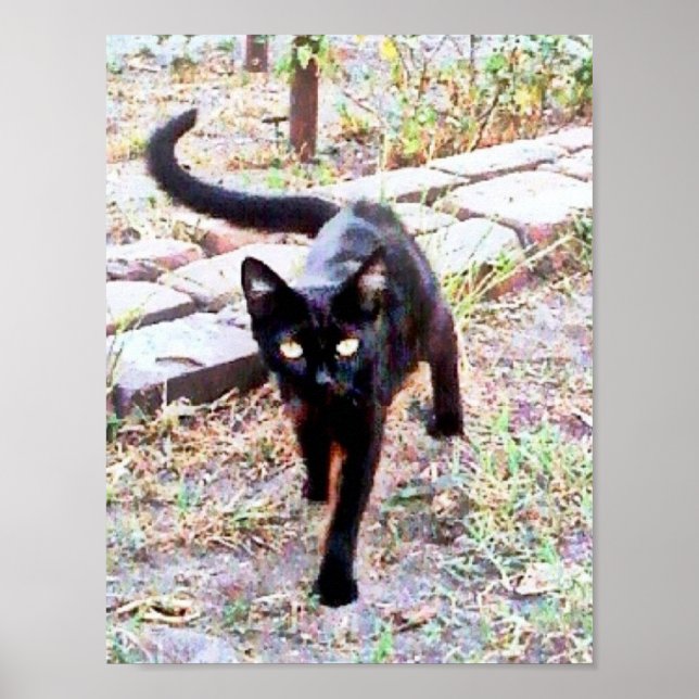 Poster Meu Nome É Kitty (Frente)