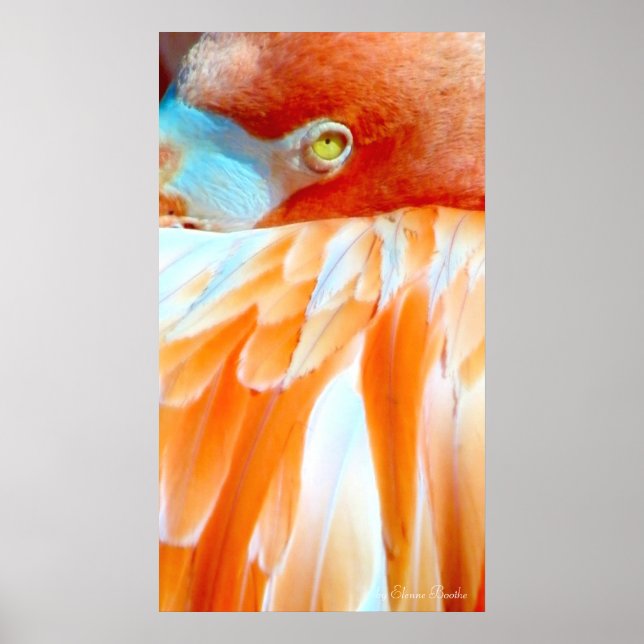 Poster Meu olho em você_Poster (Frente)