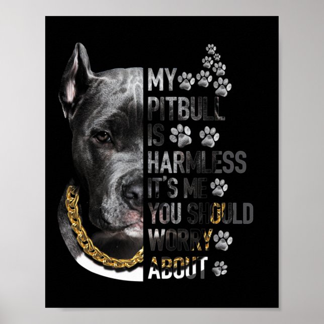 Poster Meu Pitbull é inofensivo. Sou eu que você deveria  (Frente)