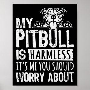 Poster Meu Pitbull Está Sem Prejuízo. Você Deveria Se Pre