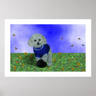 Poster Meu poodle e sua bola.