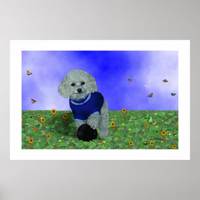 Poster Meu poodle e sua bola. (Frente)