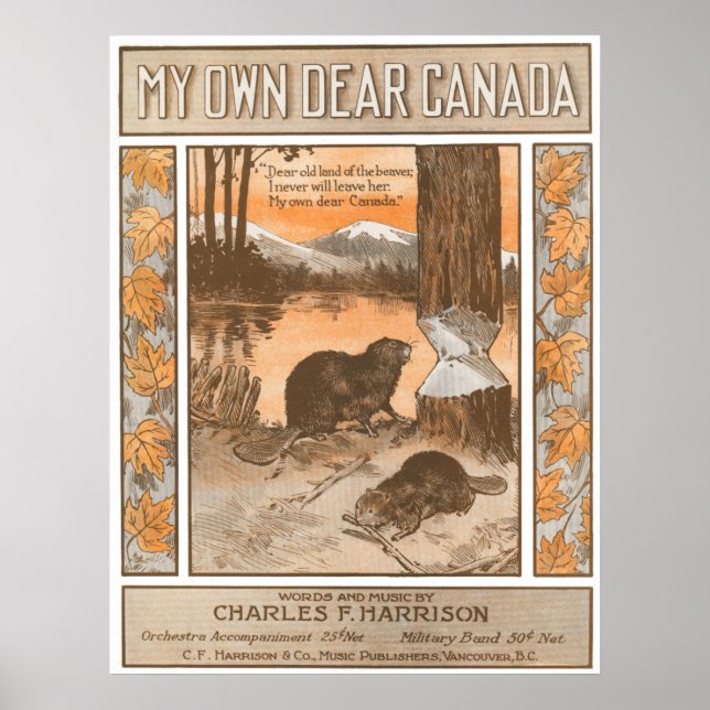 Pôster Meu Próprio Caro Canadá (Frente)