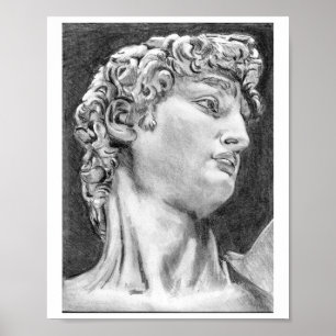 Poster Meu Próprio Desenho DAVID Após Michelangelo Art Po