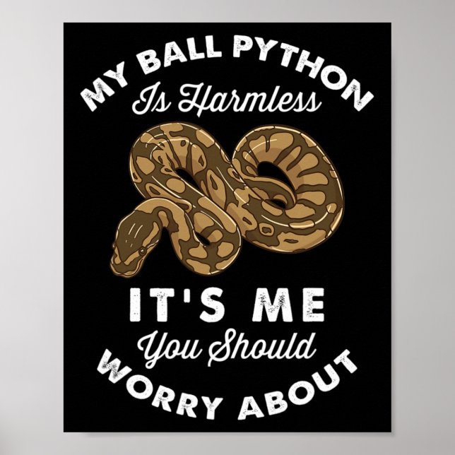 Poster Meu Python Bola É Sem Prejuízo Sou Eu Que Você Dev (Frente)