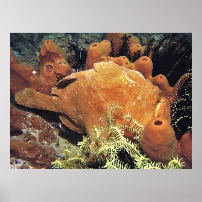 Poster Meu Raio II (Frente)