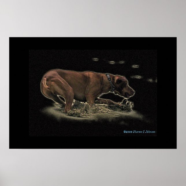 Pôster Meu Rhett (Frente)