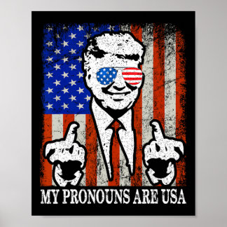 Poster Meus Pronomes São Usa Bandeira Americana Patriótic