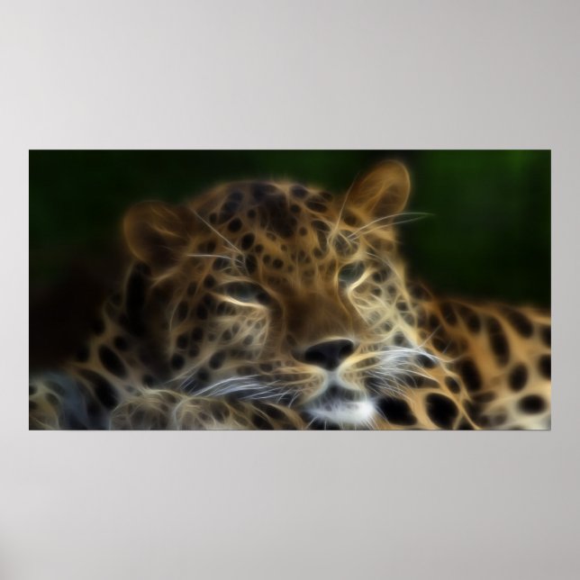 Pôster Meus últimos dias na Terra... Arte (Frente)