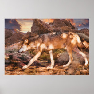 POSTER MEXICAN RED WOLF DESERT TREK