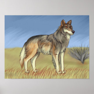 Poster Mexican Wolf