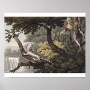 Poster Mexicano Lizard Catcher, gravado por Matthew Dubou