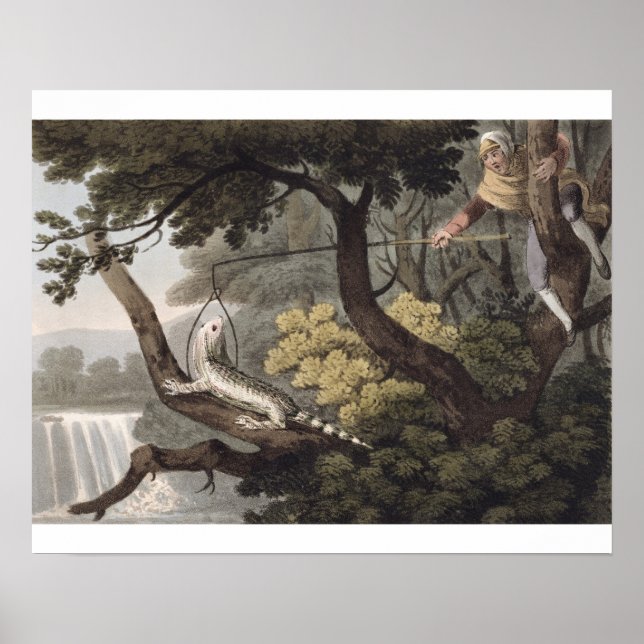 Poster Mexicano Lizard Catcher, gravado por Matthew Dubou (Frente)