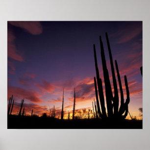 Poster México, Baja del Norte, Catavina Desert National