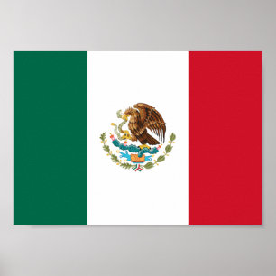 Pôster Mexico Flag