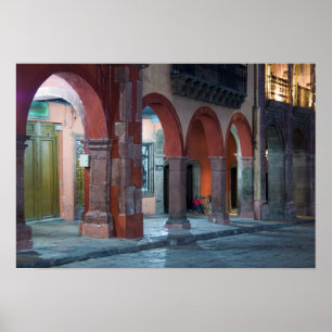 Poster México, San Miguel de Allende, The Jardin,