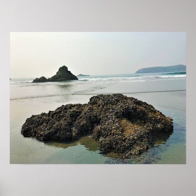 Poster Meyers Beach North, Dourada Beach, Oregon (Frente)