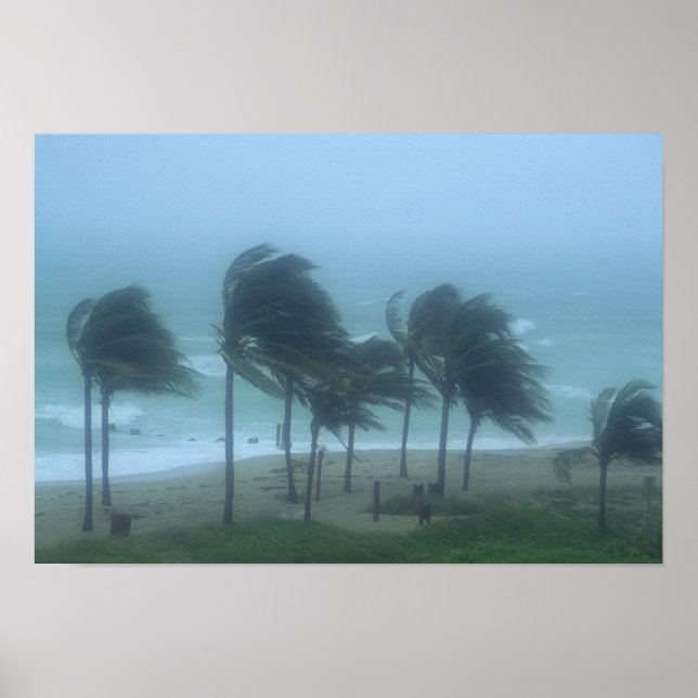Pôster Miami Beach, Flórida, ventos de furacão açoitando (Frente)