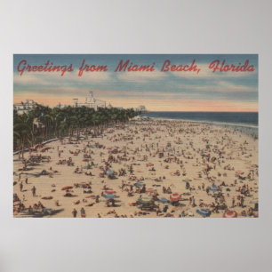 Pôster Miami Beach, FloridaGreetings FromMiami, FL