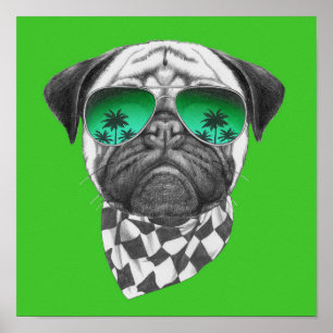 Poster Miami Pug