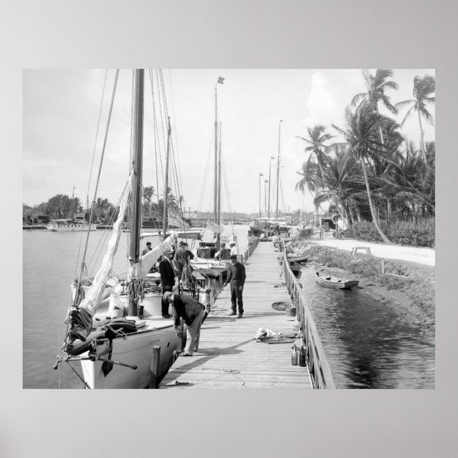 Poster Miami Sailboats, 1905 (Frente)