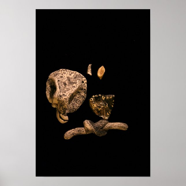 Pôster Micro escultura de miniatura gráfica micromanética (Frente)