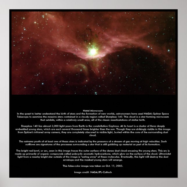 Pôster Microcosmo Natal (Frente)