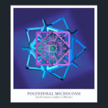 Poster Microcosmo poliedral<br><div class="desc">Microcosmo poliedral por Michael Trott. Parte da Coleção Galeria de Mathematica de Pesquisa Wolfram.</div>