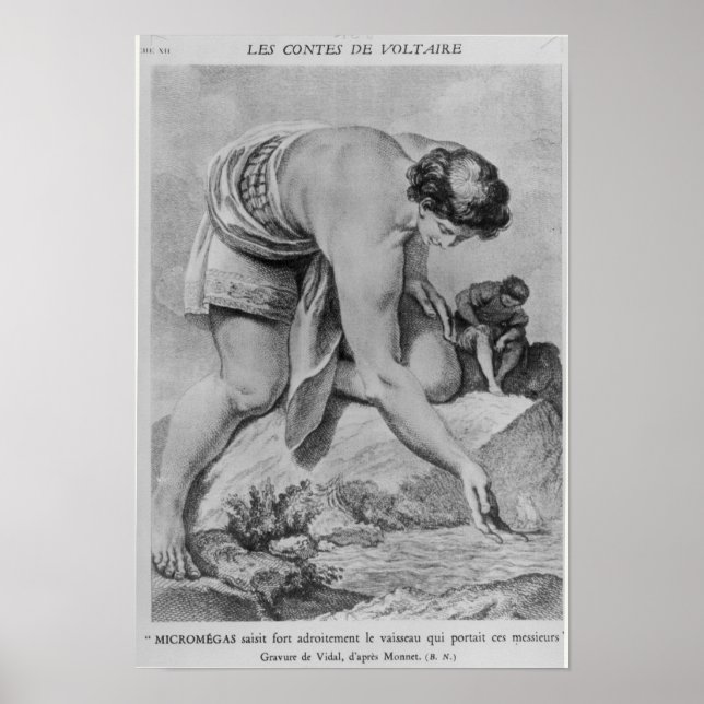 Pôster Micromegas habilmente pega o navio (Frente)