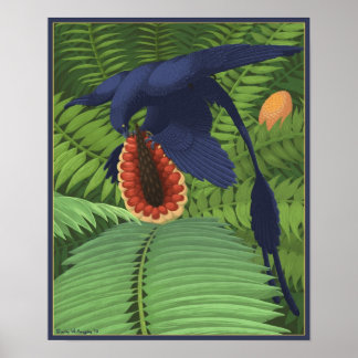 Pôster Microraptor Omnivory